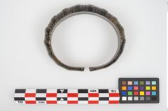 Foto von Bronzemelonenarmreif (NHMW-PRAE-026143)